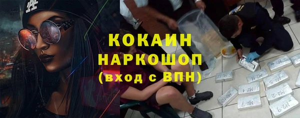 ПСИЛОЦИБИНОВЫЕ ГРИБЫ Арсеньев