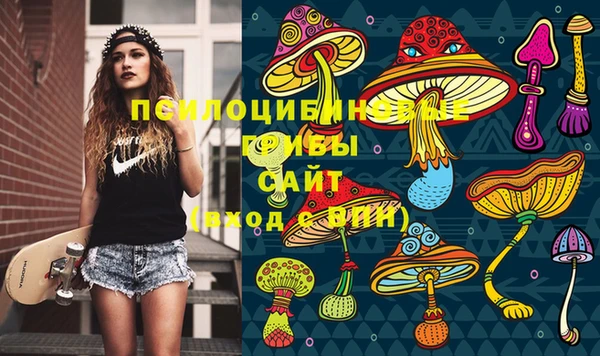 винт Армянск