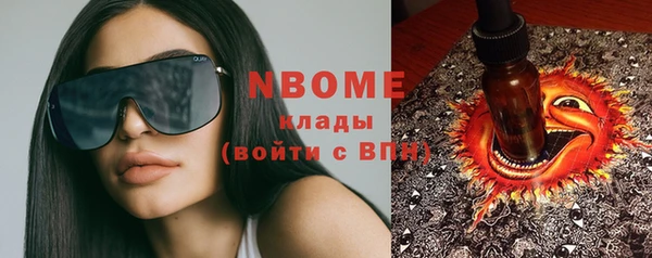 ПСИЛОЦИБИНОВЫЕ ГРИБЫ Арсеньев