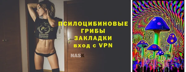 бошки Алексин