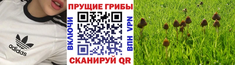 гидра онион  Рошаль  Псилоцибиновые грибы мицелий  купить наркотик 